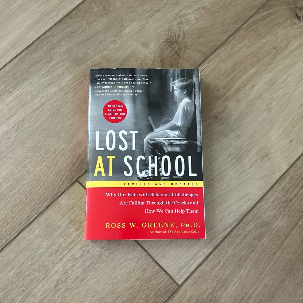 Lost at School book